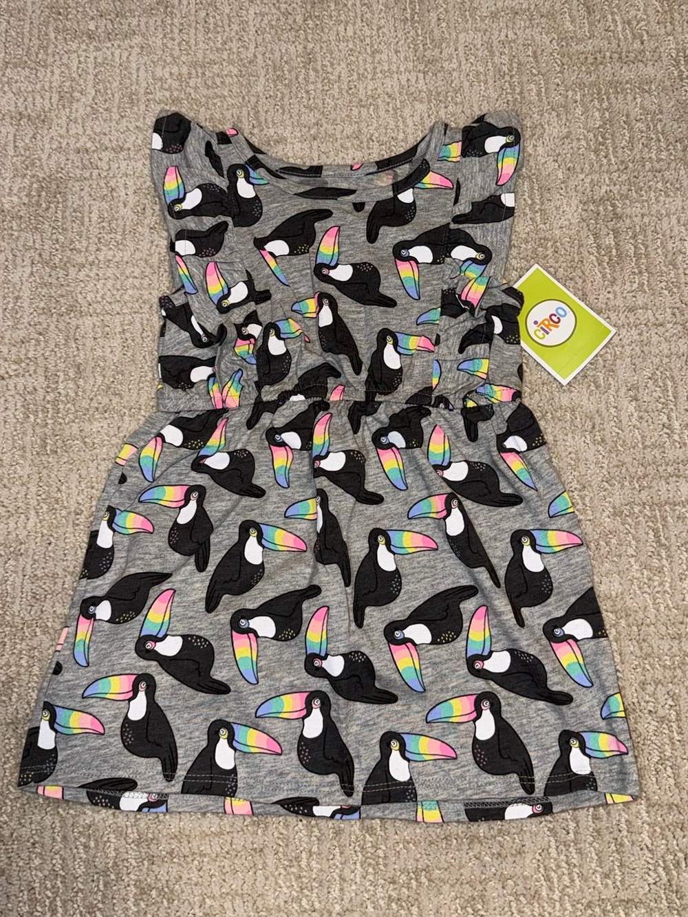 NWT Circo Gray Dress with Rainbow-Beaked Toucan Print (2T)